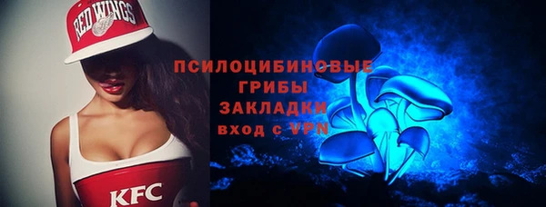 хмурый Алексеевка