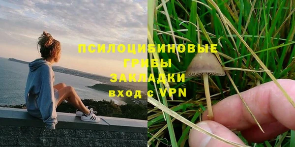 круглые Алзамай
