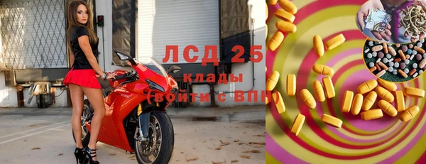 индика Армянск