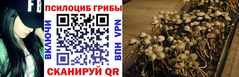 мориарти состав  где купить наркотик  Чебаркуль  Галлюциногенные грибы MAGIC MUSHROOMS 