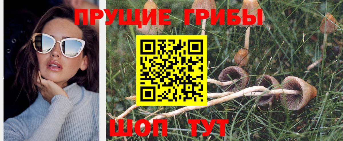 Чебаркуль  Псилоцибиновые грибы мухоморы  Вход с VPN 